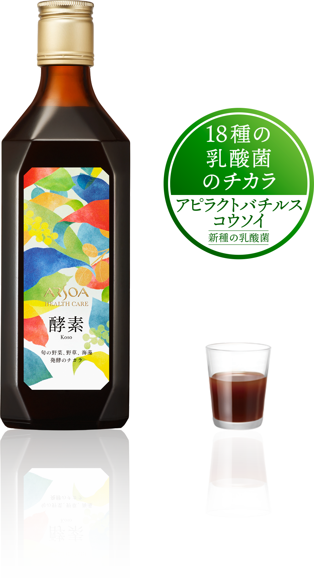 アルソア　酵素
